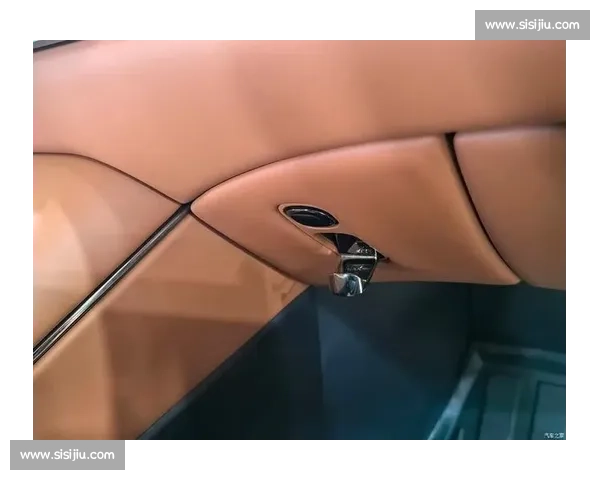 电动赛车驶入“快车道”,燃油车主们的心情是否早已凉透