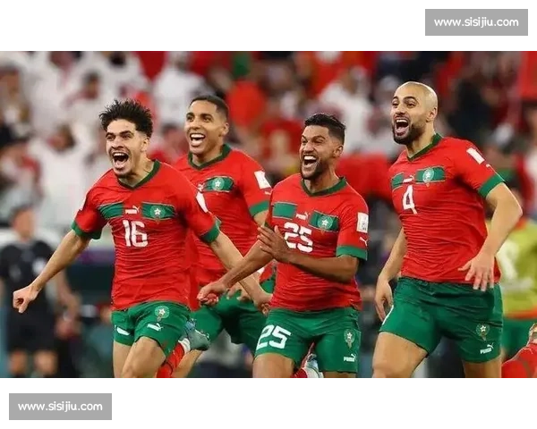 跌宕起伏，大洋洲球队的世界杯征程引人入胜